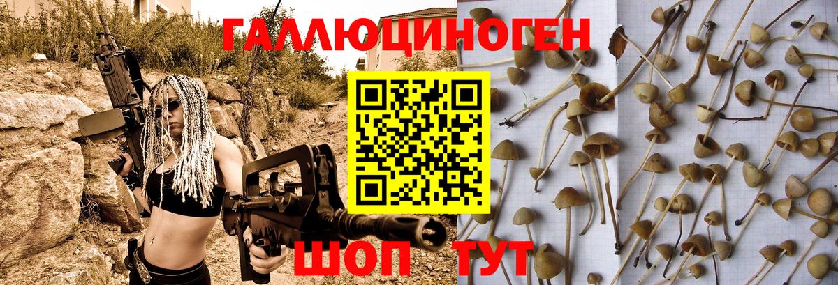 Псилоцибиновые грибы Magic Shrooms Отрадное