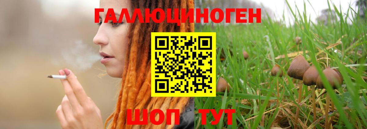 Псилоцибиновые грибы мухоморы  Вход с VPN  Отрадное  Псилоцибиновые грибы мицелий 
